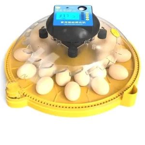 INCUBADORA FULL AUTOMÁTICA DE 24 HUEVOS OVNI PLUS